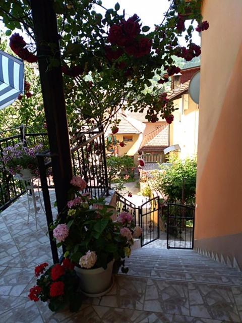 Gorazde-centar * Gorazde