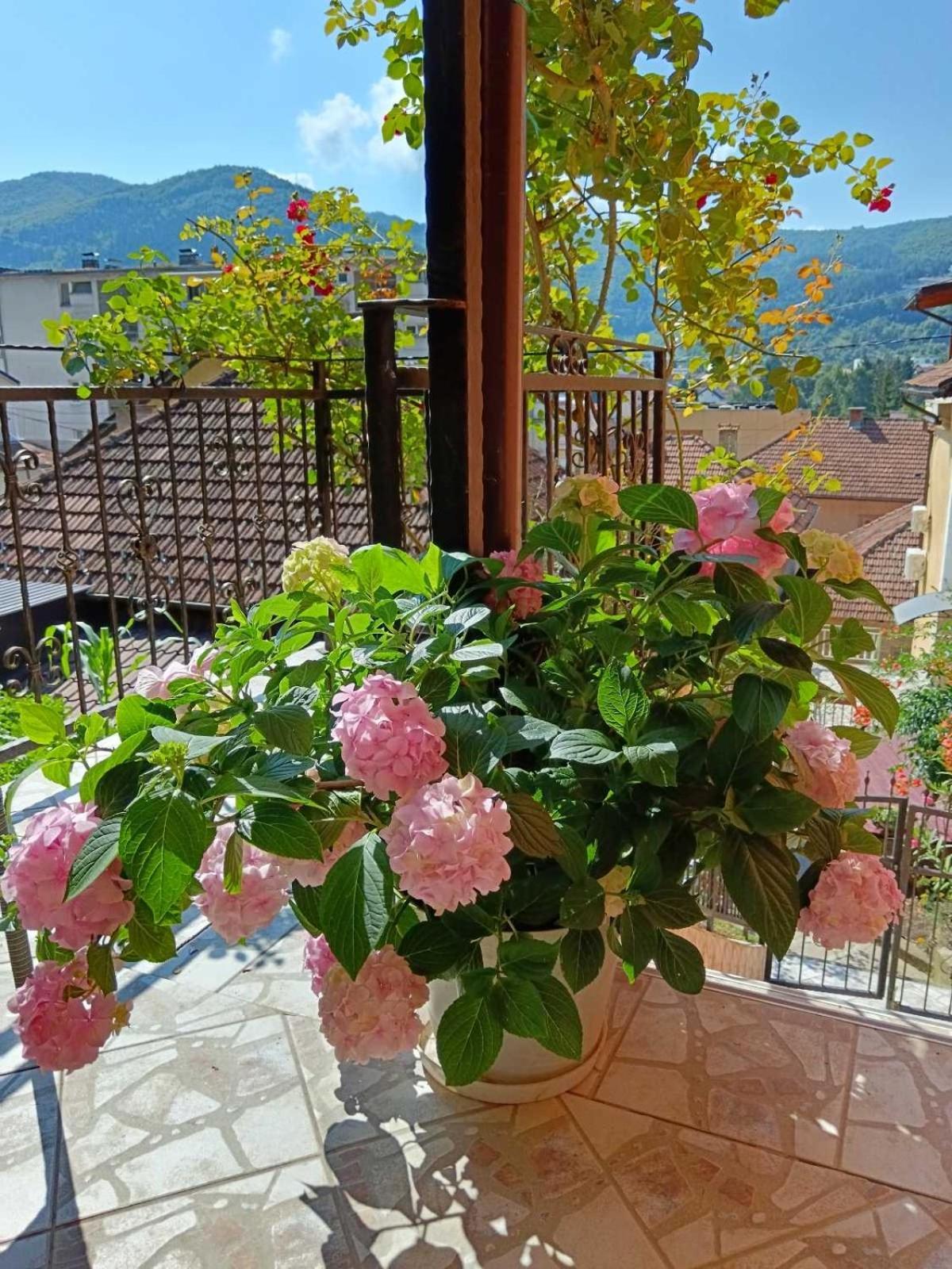 Gorazde-centar Apartment *